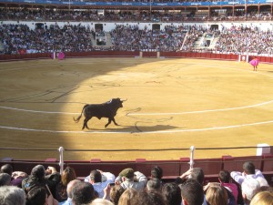 IMG_1830