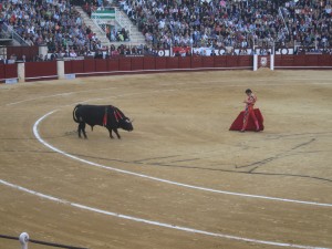 IMG_1880